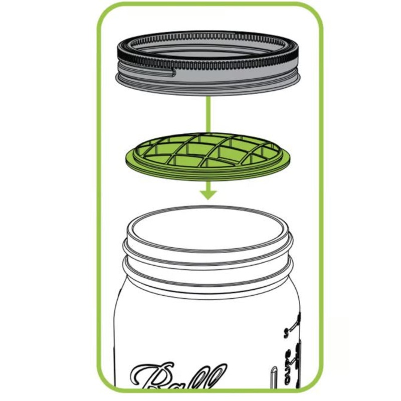 Flower Frog (Top Only)