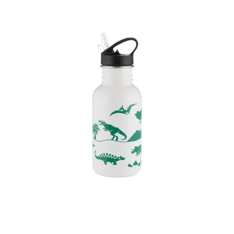 Color Changing Bottle, Dinosaurs