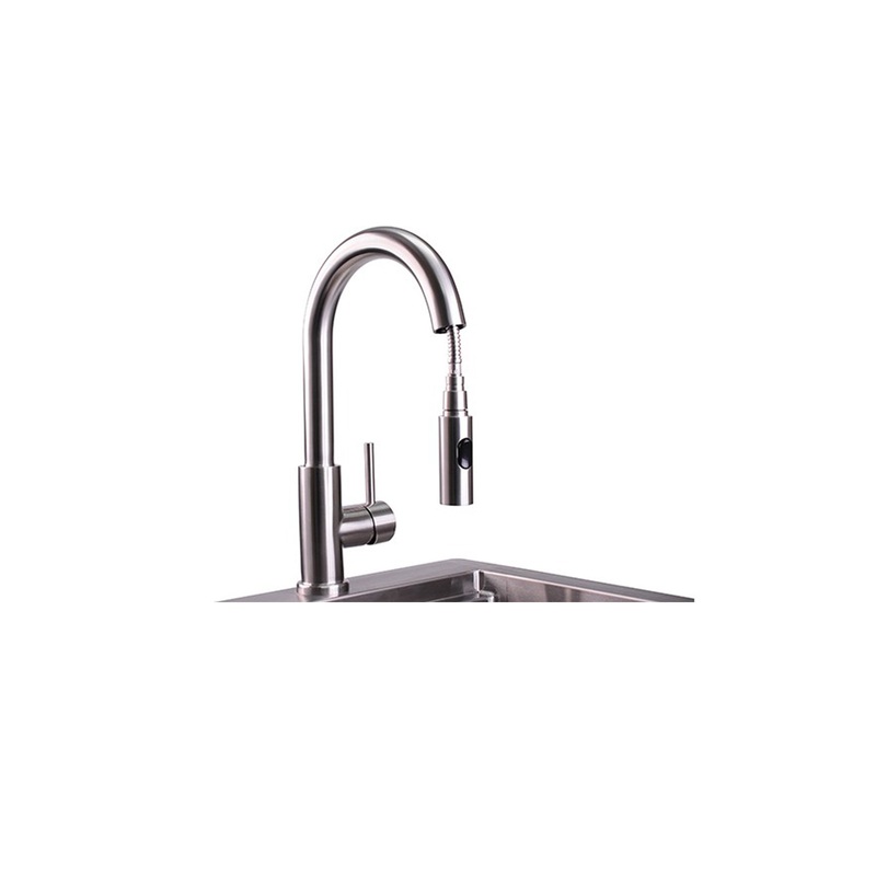 Professional Gooseneck Pull-Down Faucet