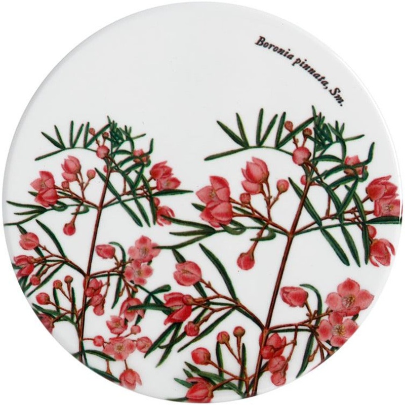 MW Royal Botanic Gardens Australian Botanics Ceramic Round Coaster 9.5cm Boronia