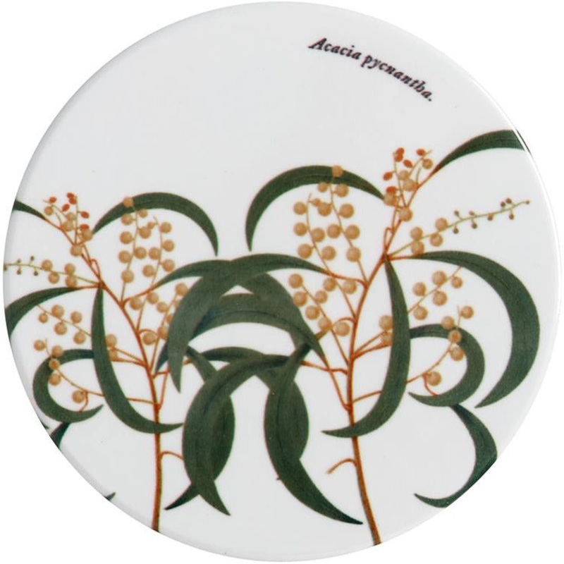 MW Royal Botanic Gardens Australian Botanics Ceramic Round Coaster 9.5cm Wattle