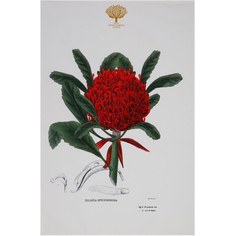 Royal Botanic Garden Tea Towel - Telopea
