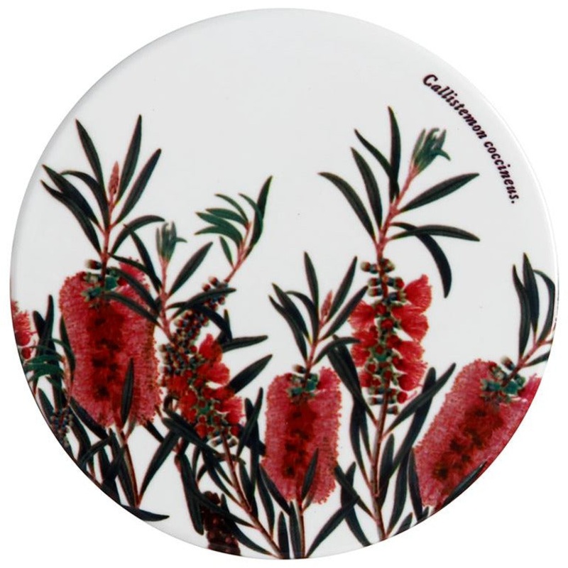 MW Royal Botanic Gardens Australian Botanics Ceramic Round Coaster 9.5cm Bottlebrush