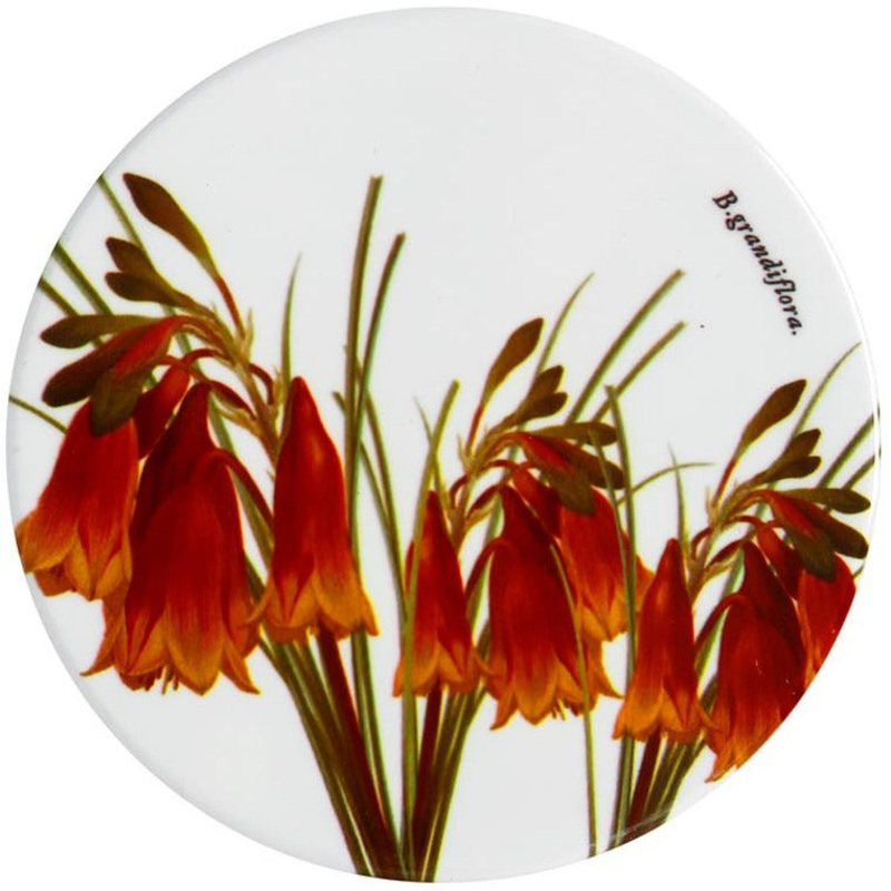 MW Royal Botanic Gardens Australian Botanics Ceramic Round Coaster 9.5cm Christmas Bells