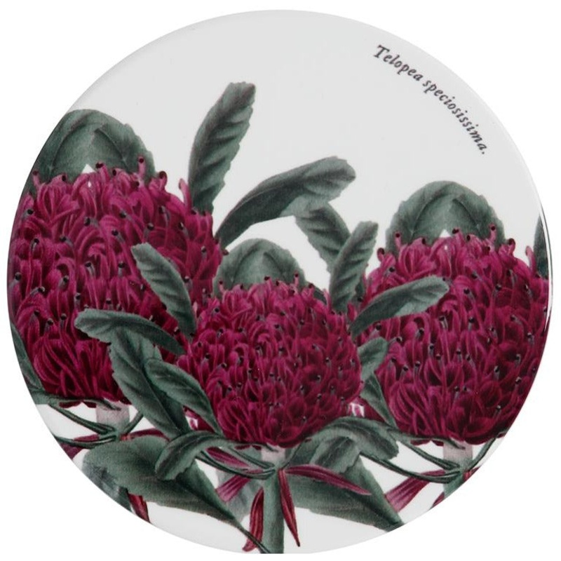MW Royal Botanic Gardens Australian Botanics Ceramic Round Coaster 9.5cm Telopea
