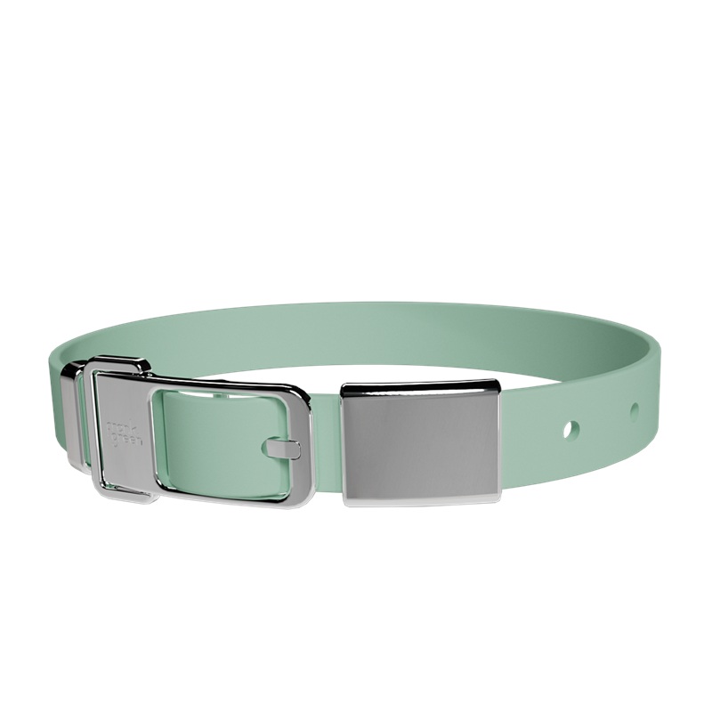 Pet Collar + Name Tag Large - Collar: Mint Gelato