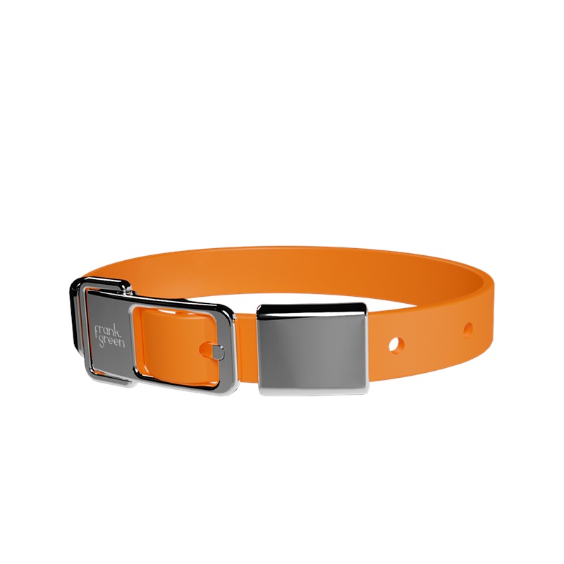 Pet Collar + Name Tag Medium - Collar: Neon Orange
