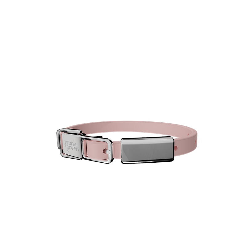 Pet Collar + Name Tag Small - Collar: Blushed