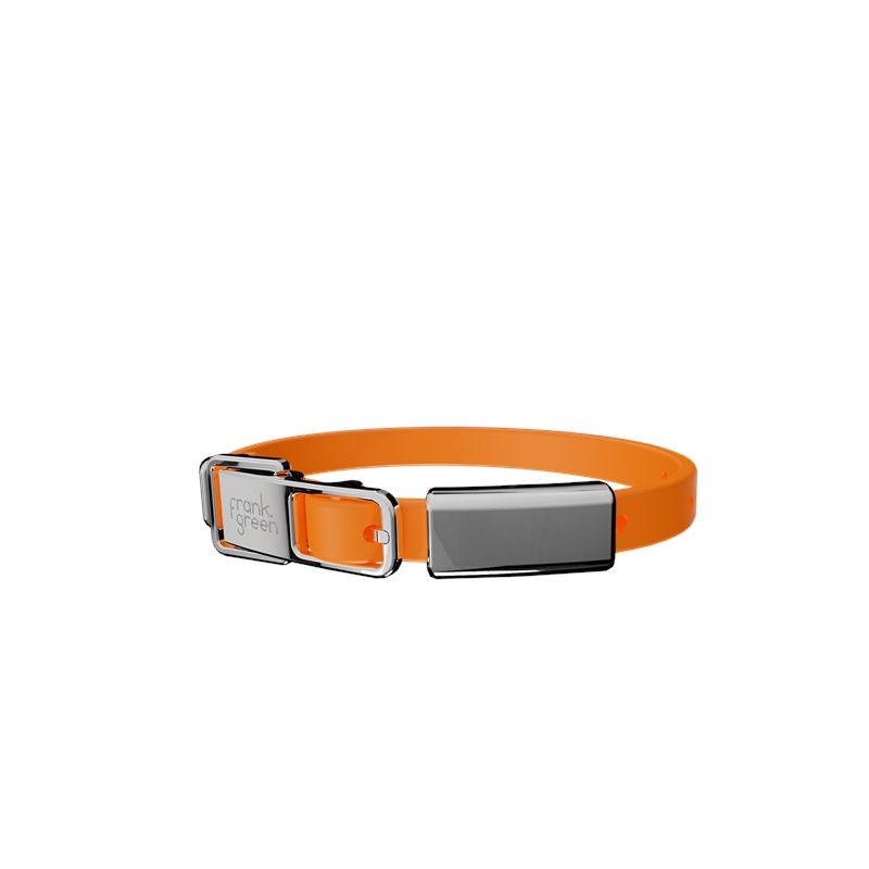 Pet Collar + Name Tag Small - Collar: Neon Orange