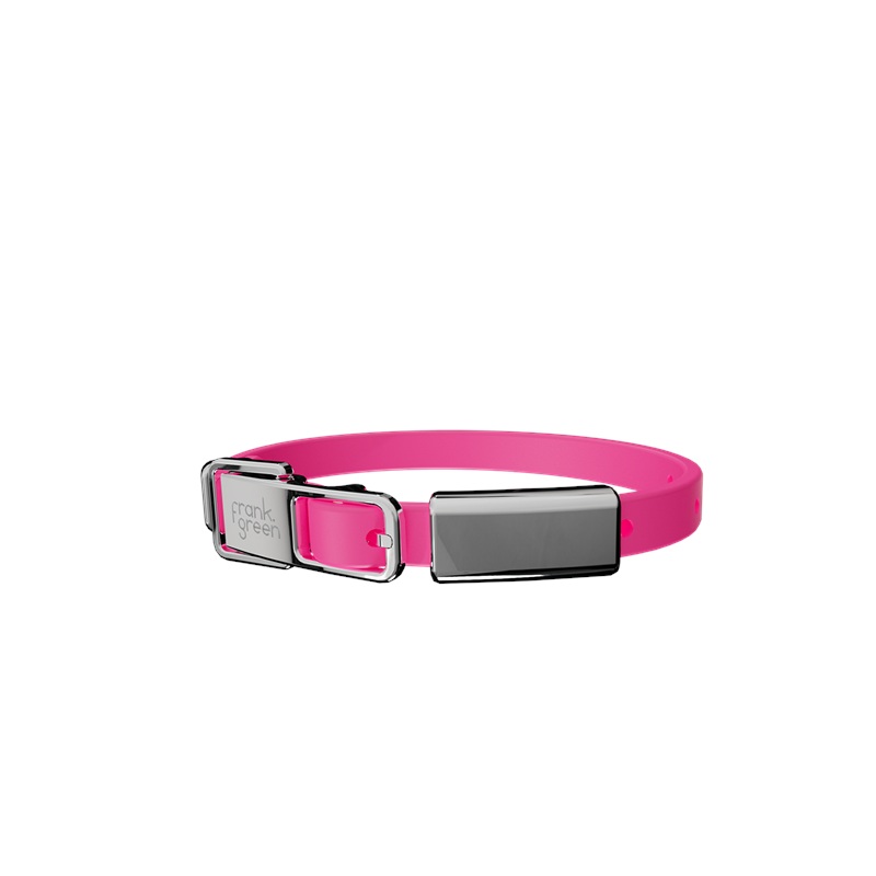 Pet Collar + Name Tag Small - Collar: Neon Pink