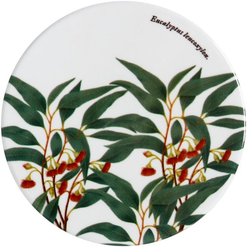 MW Royal Botanic Gardens Australian Botanics Ceramic Round Coaster 9.5cm Flowering Gum