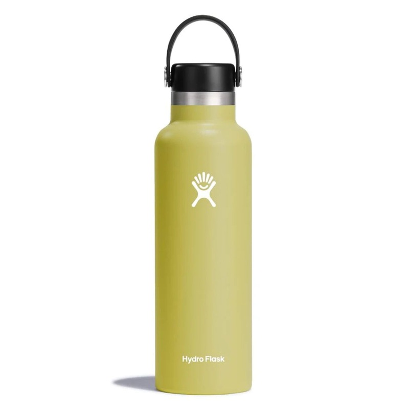Hydration 21oz Standard - Cactus