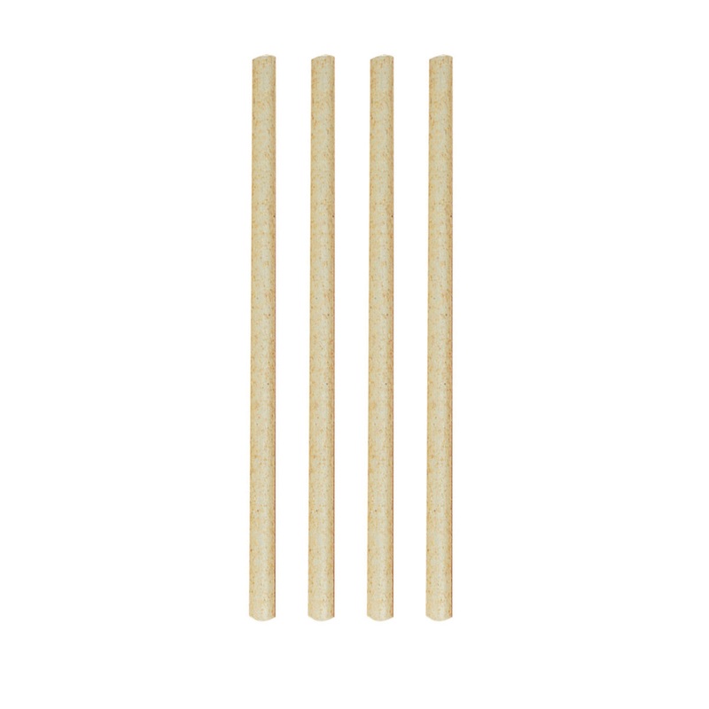 Sugar Cane Straws 14cm - Set 50