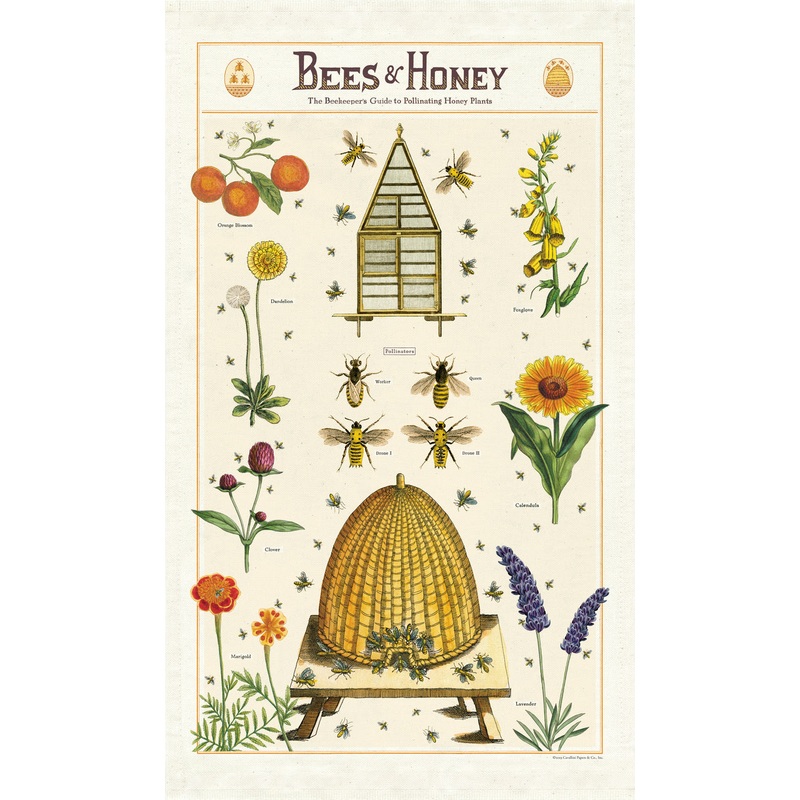Cavallini & Co. Tea Towel - Bees