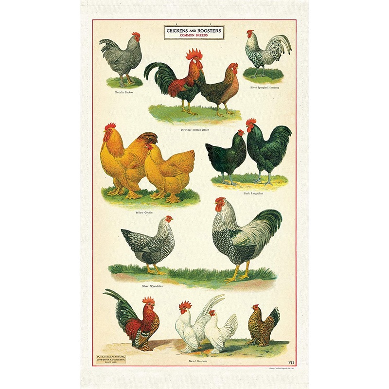 Cavallini & Co. Tea Towel - Chickens