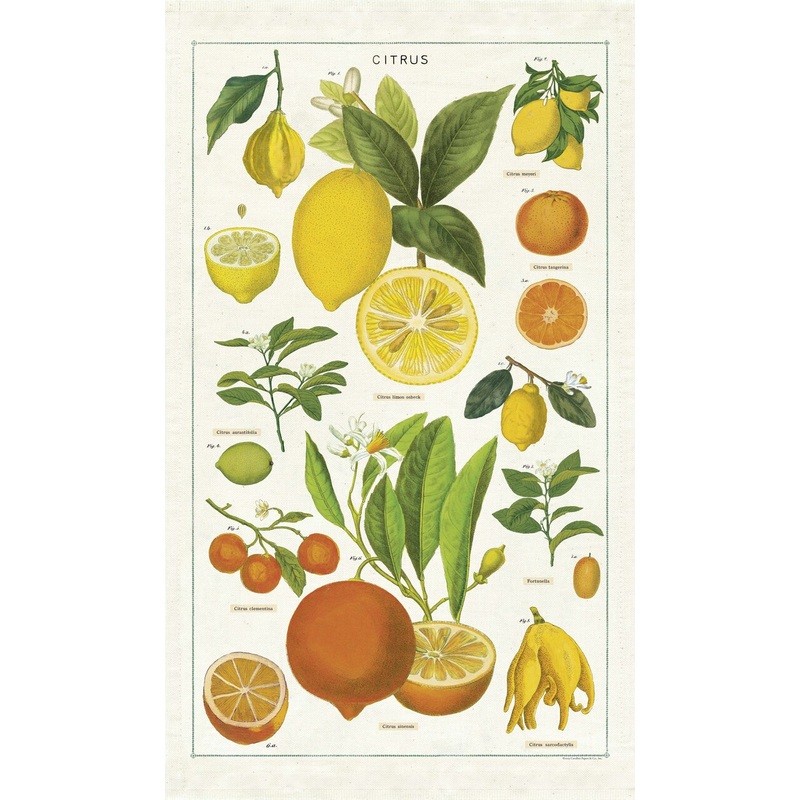 Cavallini & Co. Tea Towel - Citrus