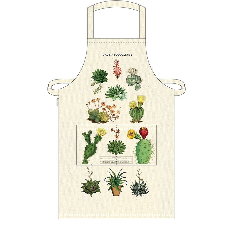 Cavallini & Co. Apron - Succulents