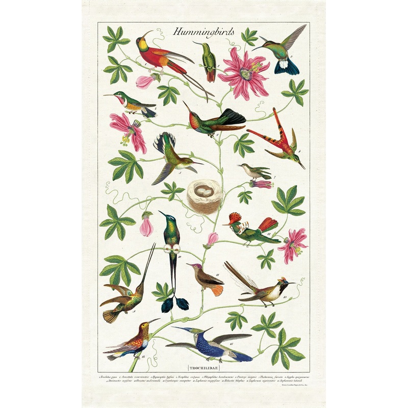 Cavallini & Co. Tea Towel - Hummingbirds