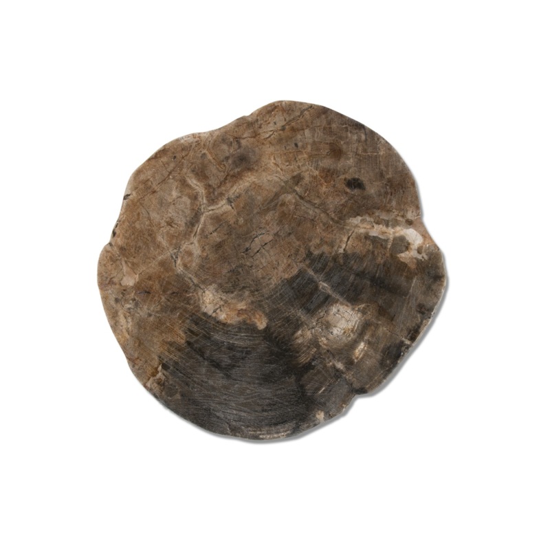 Montes Doggett Petrified Wood Trivet w/ Polished Edge