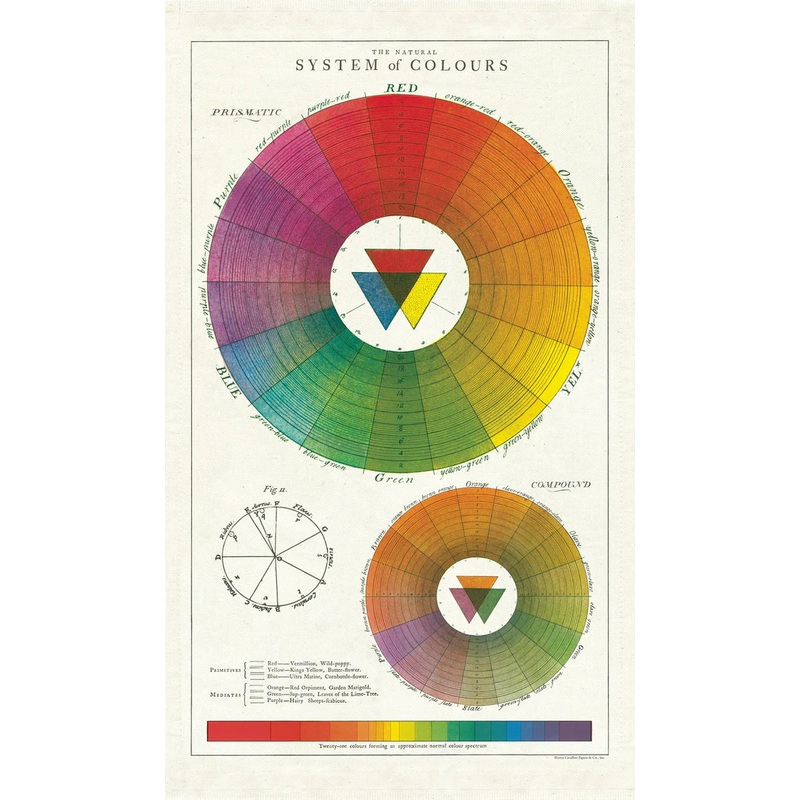 Cavallini & Co. Tea Towel - Color Wheel