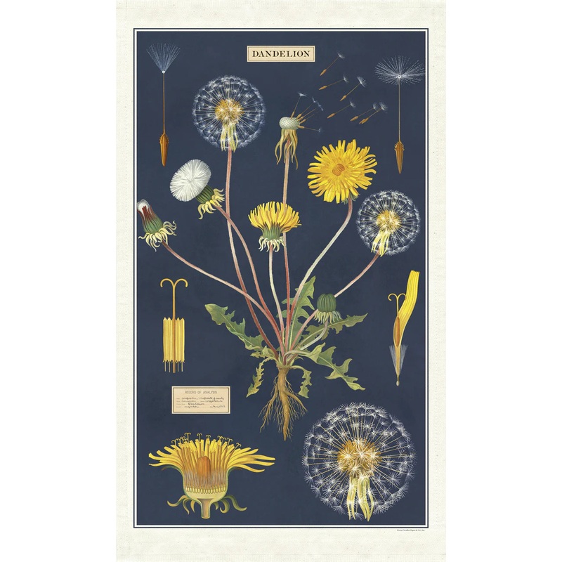 Cavallini & Co. Tea Towel - Dandelion