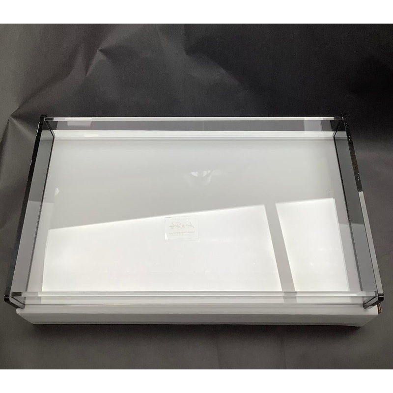 Lucite By Design Clear Rectangle Tray with Black Ends