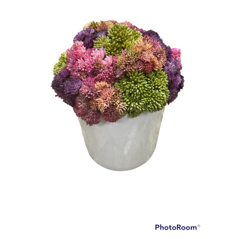 CDI Colorful in Glossy White Planter