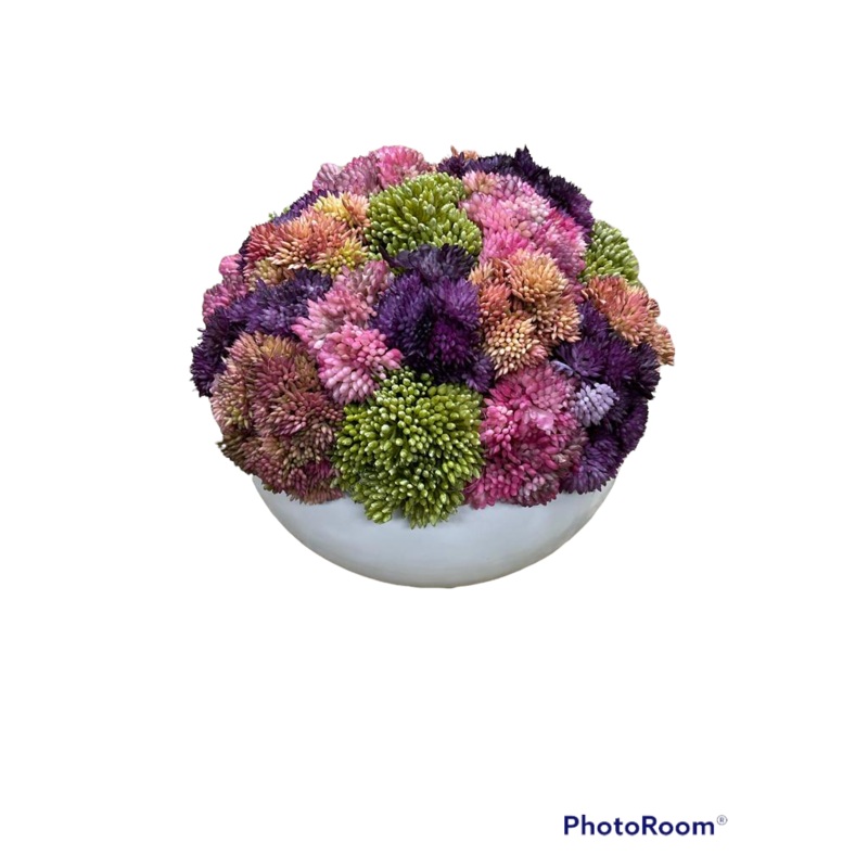 CDI Sedums with Purple  Planter
