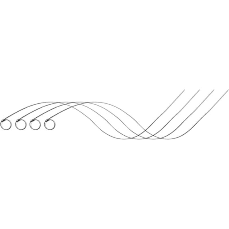 Charcoal Companion Flexible Skewers, Set/4 Extra Long