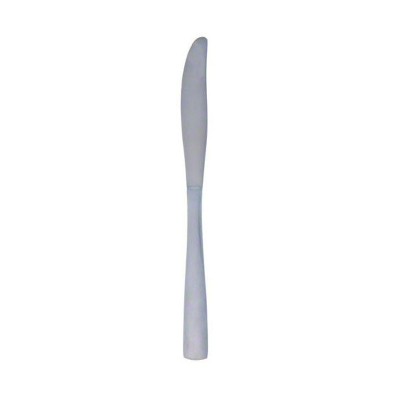 Update International WA-308 Washington Dinner Knife #308, Pack of 12