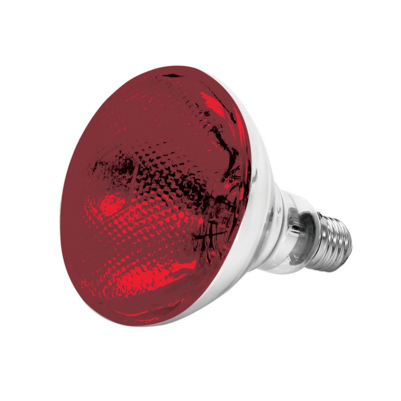 Thunder Group SEJ90001R 250 Watt Red Heat Lamp Bulb