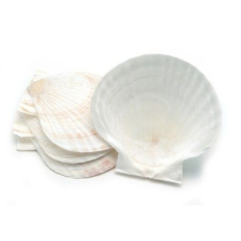 Nantucket Seafood 4 Natural Canape Shells