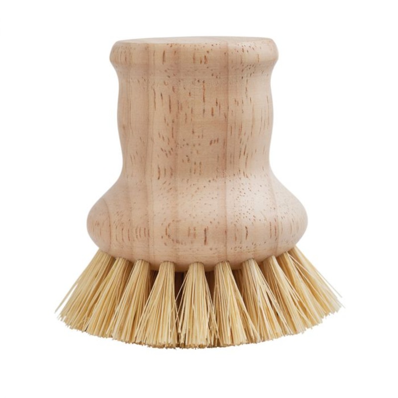 Beyond Gourmet Natural Bristle Vegetable and Dish Brush with Handle